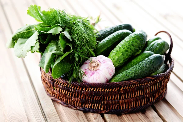 Listo para encurtidos caseros — Foto de Stock