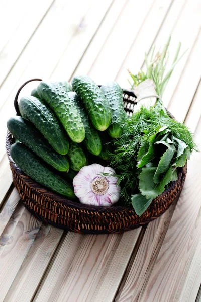 Listo para encurtidos caseros — Foto de Stock