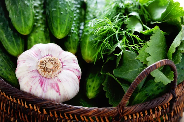 Ready for homemade pickles — Stock Image Ready for homemade pickles Stock Image