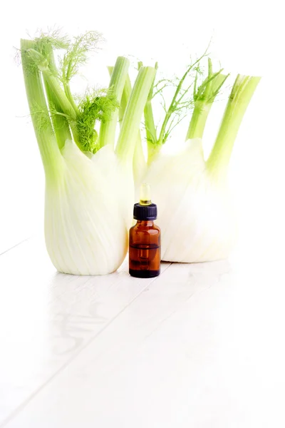 Fennel essential oil — Stock Photo, Image