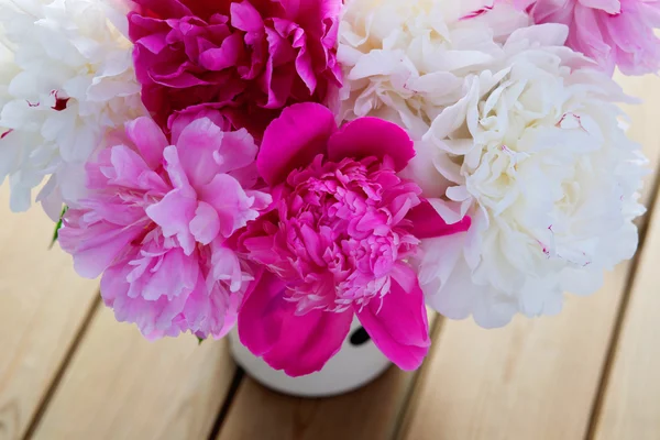 Mooie peony bos — Stockfoto