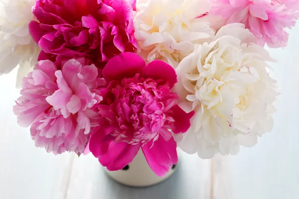 Mooie peony bos — Stockfoto