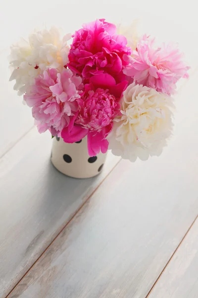 Mooie peony bos — Stockfoto