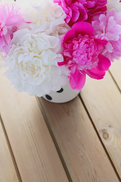 Mooie peony bos — Stockfoto