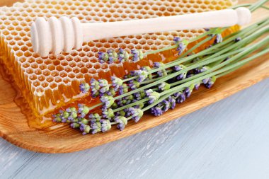 Honey comb with lavender flowers clipart