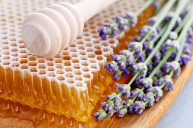 Honey comb with lavender flowers clipart