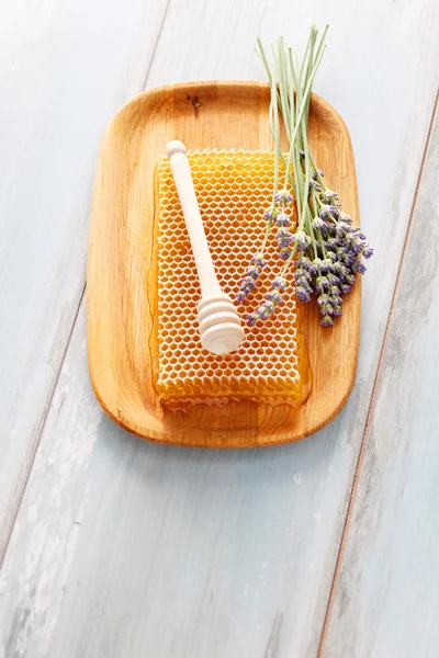 Pente de mel com flores de lavanda — Fotografia de Stock