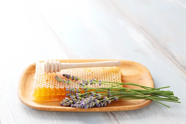 Honey comb with lavender flowers — Stock Photo, Image