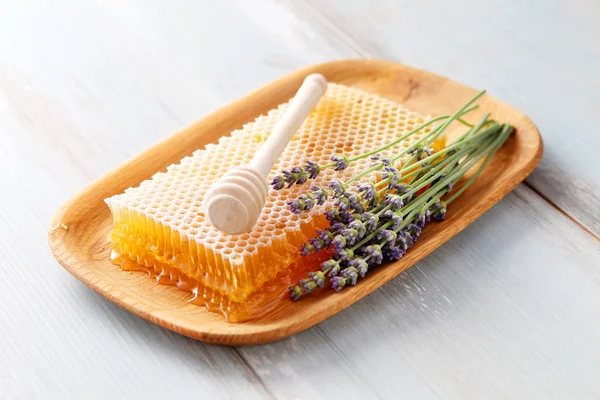 Peigne de miel aux fleurs de lavande — Photo