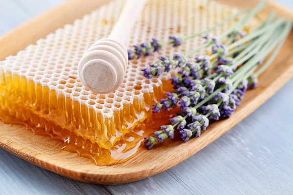 Pente de mel com flores de lavanda — Fotografia de Stock