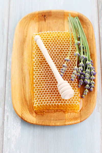 Honey comb with lavender flowers — Stock Photo, Image