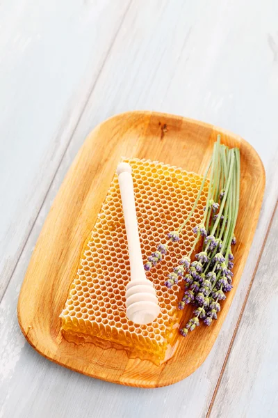 Pente de mel com flores de lavanda — Fotografia de Stock