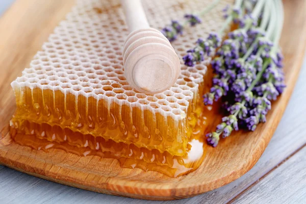 Honigwabe mit Lavendelblüten — Stockfoto
