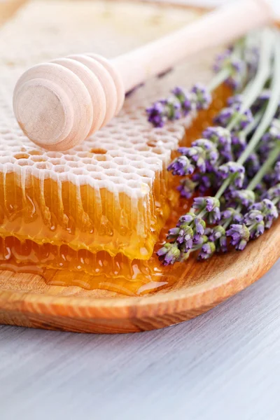 Peine de miel con flores de lavanda —  Fotos de Stock