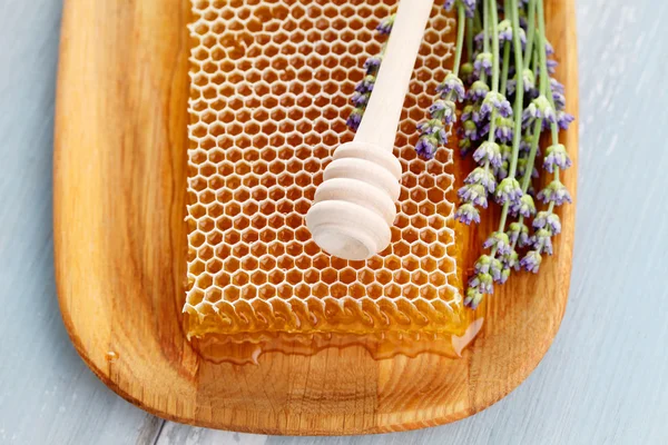 Pettine di miele con fiori di lavanda — Foto Stock