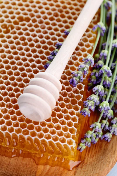 Pente de mel com flores de lavanda — Fotografia de Stock