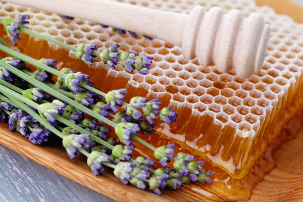 Peine de miel con flores de lavanda — Foto de Stock