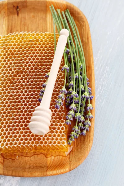 Pente de mel com flores de lavanda — Fotografia de Stock