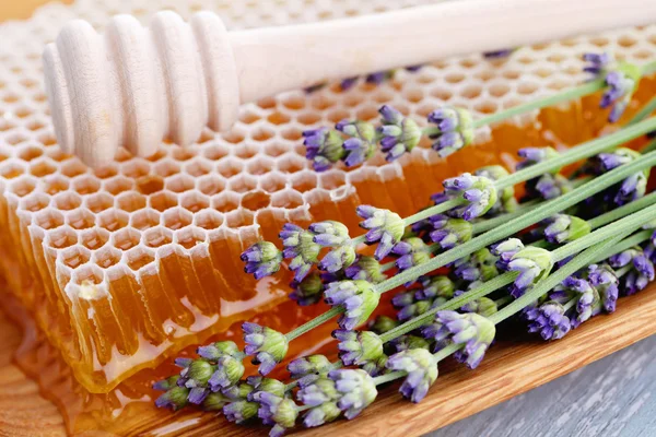 Pente de mel com flores de lavanda — Fotografia de Stock