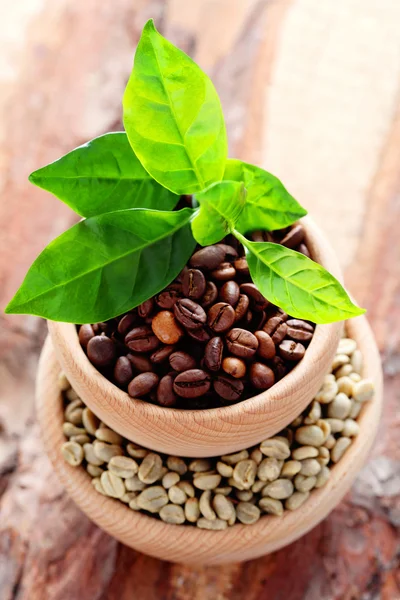 Schüssel voller Kaffeebohnen — Stockfoto