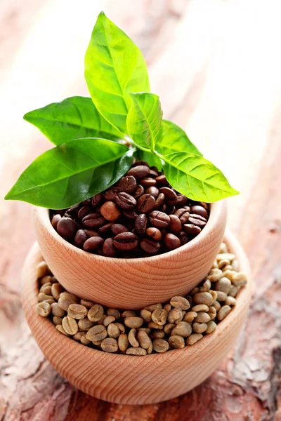Bowl full of coffee beans — Stock Photo, Image