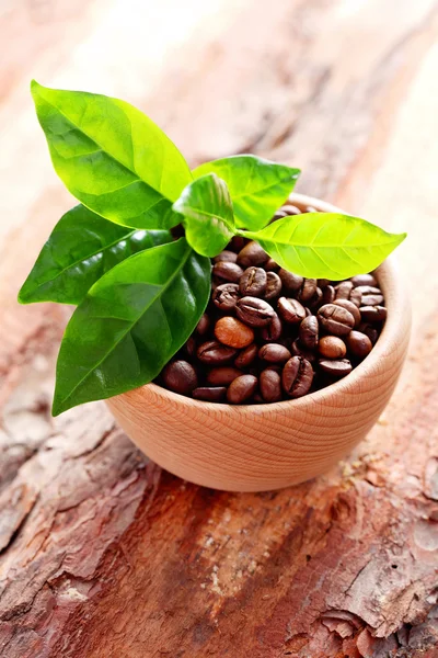 Tigela cheia de grãos de café — Fotografia de Stock