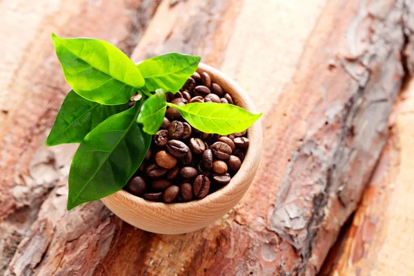 Tigela cheia de grãos de café — Fotografia de Stock