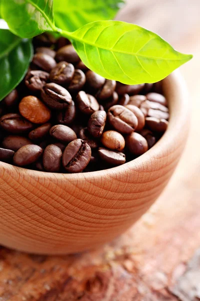 Skål full av kaffebönor — Stockfoto
