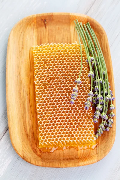 Honeycomb with lavender flowers — Stockfoto