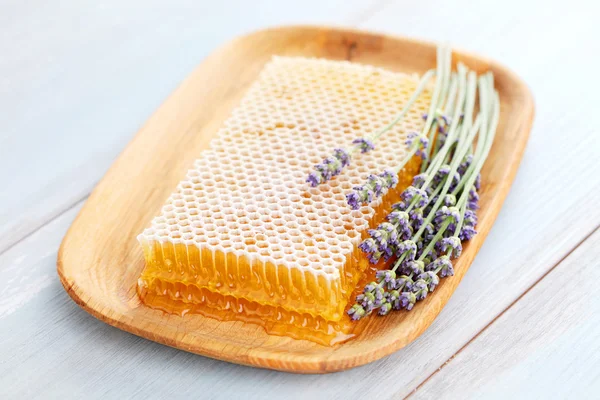 Favo de mel com flores de lavanda — Fotografia de Stock