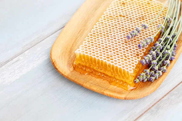 Honeycomb with lavender flowers — Stok fotoğraf