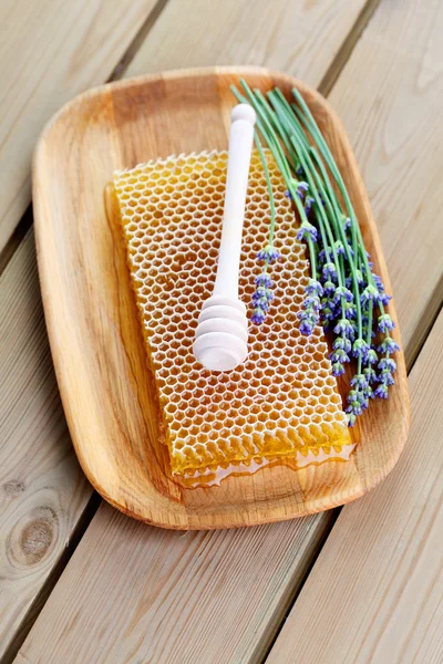 Honeycomb with lavender flowers — Stok fotoğraf