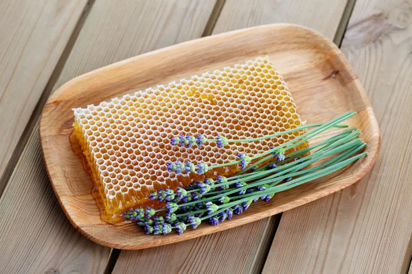 Favo de mel com flores de lavanda — Fotografia de Stock