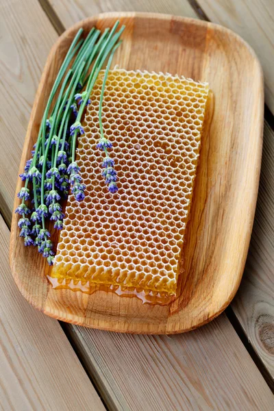 Favo de mel com flores de lavanda — Fotografia de Stock