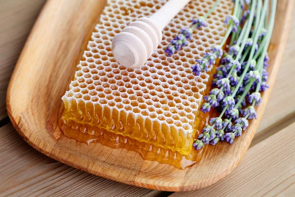 Favo de mel com flores de lavanda — Fotografia de Stock