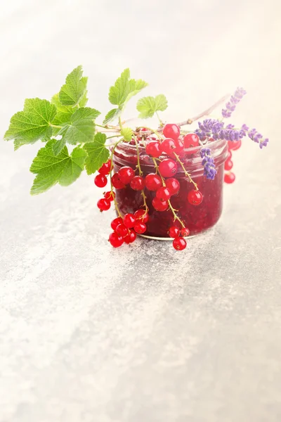 Hemgjord röda vinbär sylt med lavendel — Stockfoto