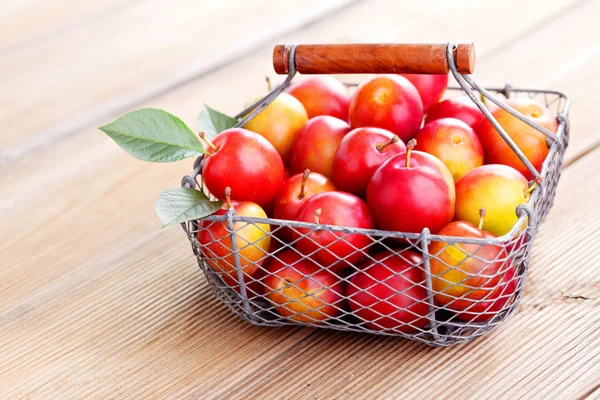 Basket of plums — Stock Photo, Image