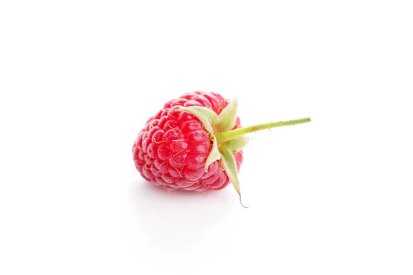 Fresh raspberry on white — Stock Photo, Image