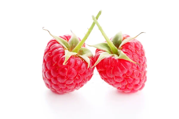 Fresh raspberry on white — Stock Photo, Image