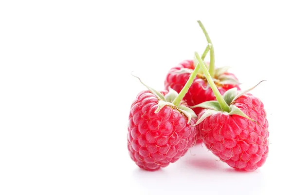 Fresh raspberry on white — Stock Photo, Image