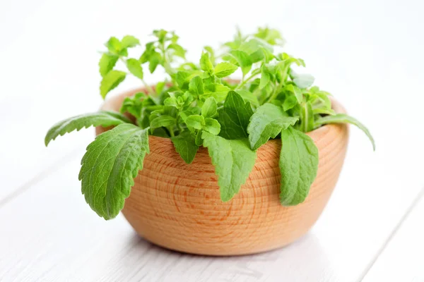 Färska stevia naturligt socker — Stockfoto