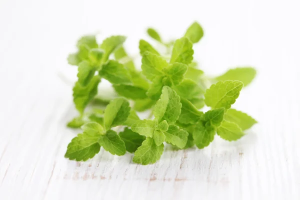 Verse stevia natuurlijke suiker — Stockfoto