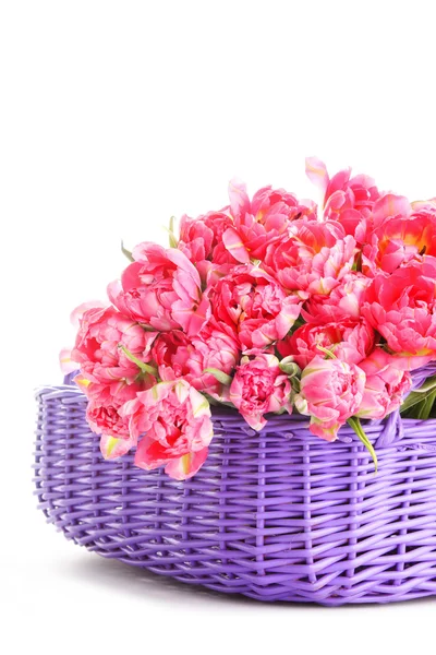 Basket full of tulips — Stock Photo, Image