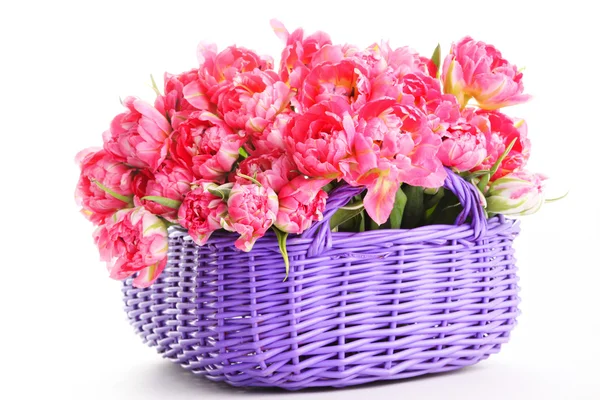 Basket full of tulips — Stock Photo, Image