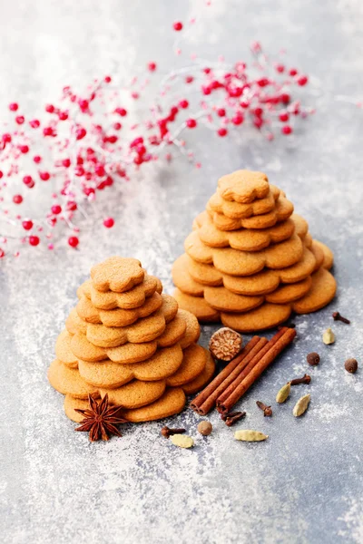 Ev yapımı gingerbreads ağaç — Stok fotoğraf