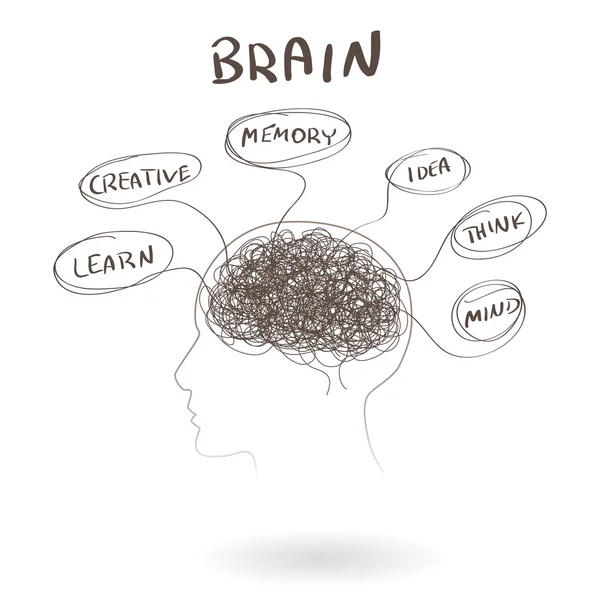 Εγκεφάλου, μια έννοια ανθρώπινης σκέψης. Vector εικονογράφηση — Διανυσματικό Αρχείο