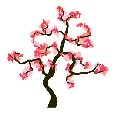 Sakura çiçeği beyaz zemin üzerine izole vektör 