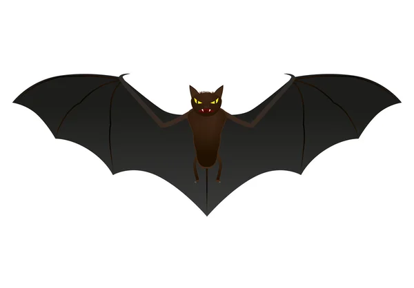 Bat geïsoleerd op witte achtergrond, vector — Stockvector