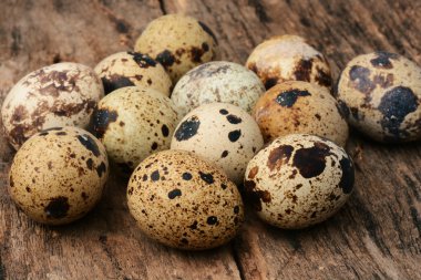 bıldırcın yumurtası