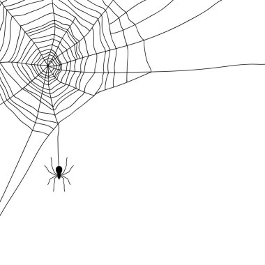 Örümcek ve web üzerinde beyaz, vektör izole